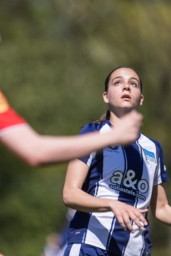 Bild 79 - wBJ Hamburger SV - Hertha BSC : Ergebnis: 5:2